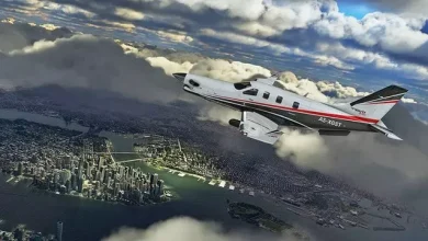 Flight Simulator 2020, Çoklu Oyuncu Desteği Sunacak