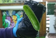 İnternette 500 TL'ye Satıldığı İddia Edilen iPhone 11 Pro