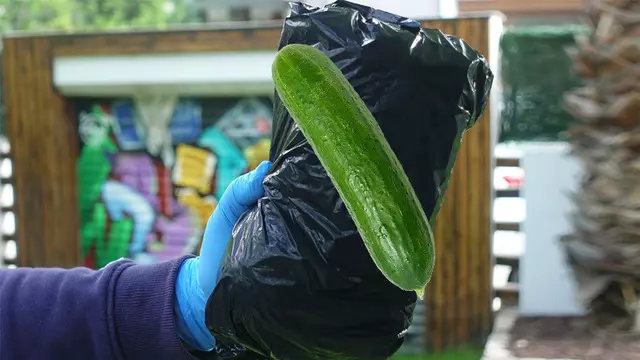 İnternette 500 TL'ye Satılmış olduğu İddia Edilen iPhone 11 Pro 1 İnternette 500 TL'ye Satıldığı İddia Edilen iPhone 11 Pro