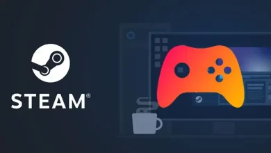 Normalde Ücretsiz Olan, Steam'de 100 Dolara Satılan Uygulama