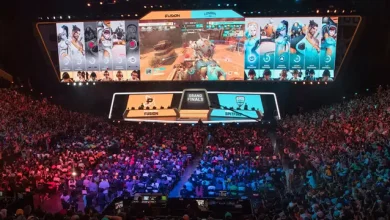 Overwatch, Corona Yüzünden Çin Maçlarını İptal Etti 6 Overwatch, Corona Yüzünden Çin Maçlarını İptal Etti