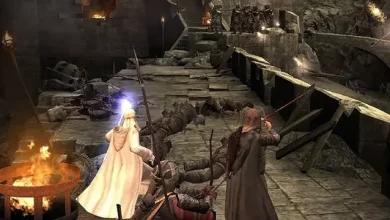 LOTR ve Harry Potter Hayranlarından EA'ya Çağrı