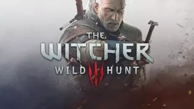 The Witcher Oyunlarının Yapımcısı Akıl Almaz Büyüme Kaydetti