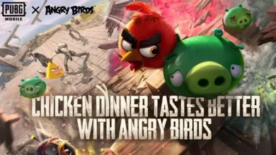 Angry Birds'ün 10. Yılı İçin Yeni PUBG Mobile Güncellemesi