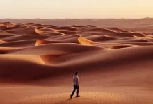 9. Mobil Fotoğrafçılık Ödülleri Kazananlar