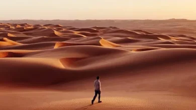 9. Mobil Fotoğrafçılık Ödülleri Kazananlar