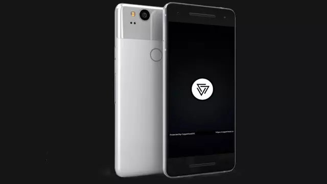 CopperheadOS'un Android 10 Tabanlı Yeni Versiyonu Gösterildi 1 CopperheadOS'un Android 10 Tabanlı Yeni Versiyonu Yayınlandı