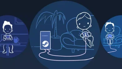 Steam'in Yerel Çok Oyuncu Modu Kullanıma Sunuldu