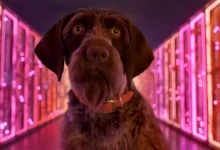 Google Stadia'nın Oyuncuların Kafasını Karıştıran Fragmanı