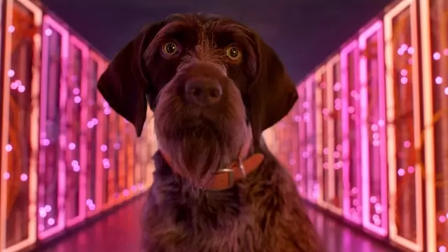 Google Stadia'nın Oyuncuların Kafasını Karıştıran Fragmanı 1 Google Stadia'nın Oyuncuların Kafasını Karıştıran Fragmanı