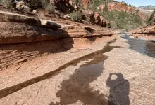 Snapdragon 865 İle İşlenen İlk 8K Video