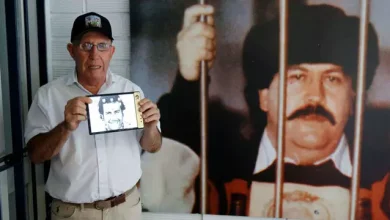 Escobar Fold 1'i Alanlara Dalga Geçer Gibi Paket İçeriği