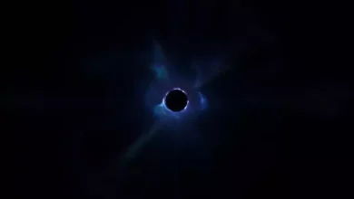Fortnite Karanlığa Gömüldü: Şimdi Ne Olacak? 2 Fortnite Karanlığa Gömüldü: Şimdi Ne Olacak?
