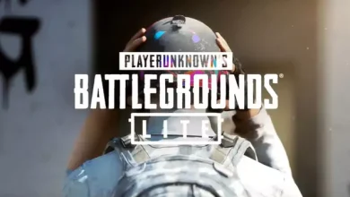 PUBG Lite'ın Türkiye'deki İndirme Sayısı Açıklandı