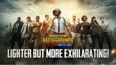 PUBG Mobile Lite’ın Yeni Güncellemesinin Detayları
