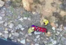 Bir Kadın, Telefonuna Bakarken Kayalıklardan Yuvarlandı