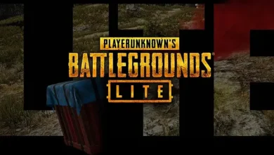 PUBG Lite Türkiye İçin Çıkış Tarihi Belli Oldu