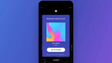 Spotify'da Ücret Karşılığında Bildirim Gönderilebilecek 2 Spotify'da Ücret Karşılığında Bildirim Gönderilebilecek