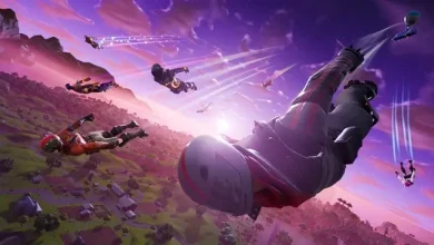 Fortnite Dünya Kupası Elemeleri'nde 1.100 Şahıs Yasaklandı 11 Fortnite Dünya Kupası Elemeleri'nde 1.100 Kişi Yasaklandı