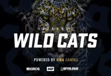 Efsane E-Spor Takımı HWA Gaming'in Adı Değişti