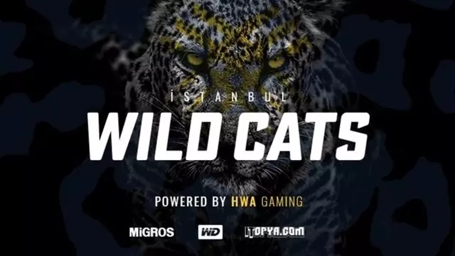 Efsane E-Spor Takımı HWA Gaming'in Adı Değişti