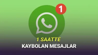 WhatsApp'a 1 Saatte Kaybolan Mesajlar Geliyor