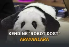 CES 2026: Yaşlılara Psikolojik Destek Sağlayabilen Panda Robot "AnAn" Tanıtıldı