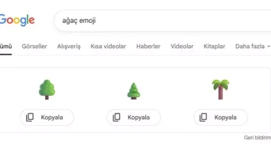 İstediğiniz emojiyi Google'da aratıp kopyalarak kullanabilirsiniz