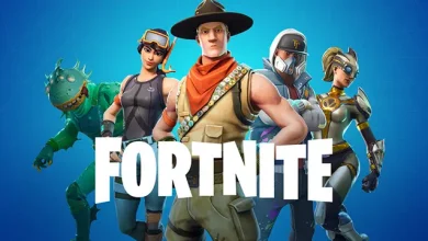 Fortnite'taki 'Vantuzlu Top'ta İlginç Bir Bug Keşfedildi