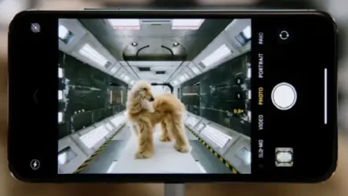 iPhone 11 Pro'nun Kamera Reklamı