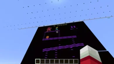 Atari Emülatöründe, İzlerken Kanser Eden 'Hız' Rekoru