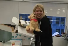 Robot Köpeklerin Yıllar İçerisindeki Muhteşem Gelişimi