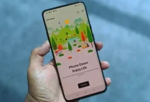 OnePlus, Zen Modun Geliştirilme Nedenini Açıkladı