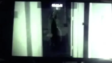 İşkence Edilen Kızı Kurtaracağınız Korku Oyunu: Night Terror 2 İşkence Edilen Kızı Kurtaracağınız Korku Oyunu: Night Terror