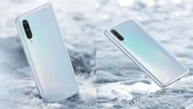 Xiaomi CC9'un Arkası Kanlı Canlı Görüntülendi (Fotoğraf)