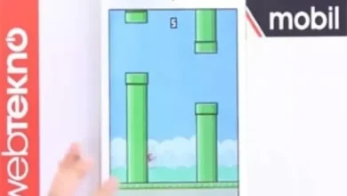 Flappy Bird'ü Sizin İçin İnceleyemedik!