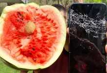 Xiaomi'nin Ceviz Kırdığı Telefonu Note 7'ye Acımadık!