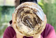 Samsung Galaxy S10 Sağlamlık Testi