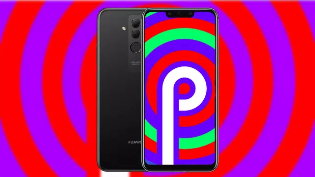 Huawei Mate 20 Lite, Android 9 Pie Güncellemesini Alıyor