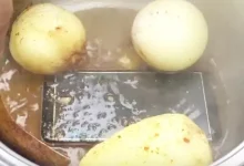 Kardeşini Kızartmıştık! - GM9 Pro'yu da Haşladık!