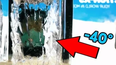 -40 Derece Buzda Çalışan Telefondan Video İzlemeye Çalıştık