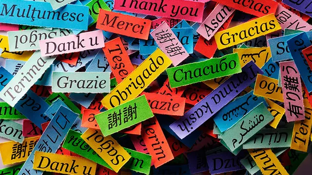 Dil Öğrenmek İsteyenler İçin 8 Parasız Android Uygulaması! 1 Dil Öğrenmek İsteyenler İçin 8 Ücretsiz Android Uygulaması!