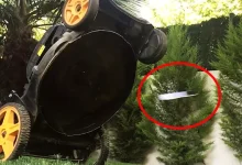 Reeder P11 SE İncelemesi - Webtekno – Güncel Teknoloji Haberleri ve Video İncelemeleri