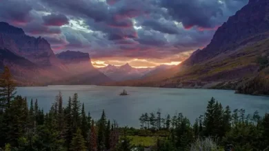 Android Cihazlarda Soruna Neden Olan Fotoğrafın Hikayesi