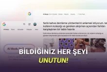 İnternet Kullanımımız Tamamen Değişecek: Google'ın AI Modu ve AI Bakışı Özellikleri Türkiye'de!