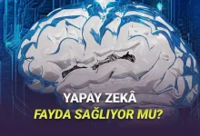 Yapay Zekâ Gerçekten Şirketlerde Verimliliği Artırıyor mu: İşte Çok Şaşıracağınız Araştırma Sonuçları