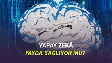 Yapay Zekâ Gerçekten Şirketlerde Verimliliği Artırıyor mu: İşte Çok Şaşıracağınız Araştırma Sonuçları